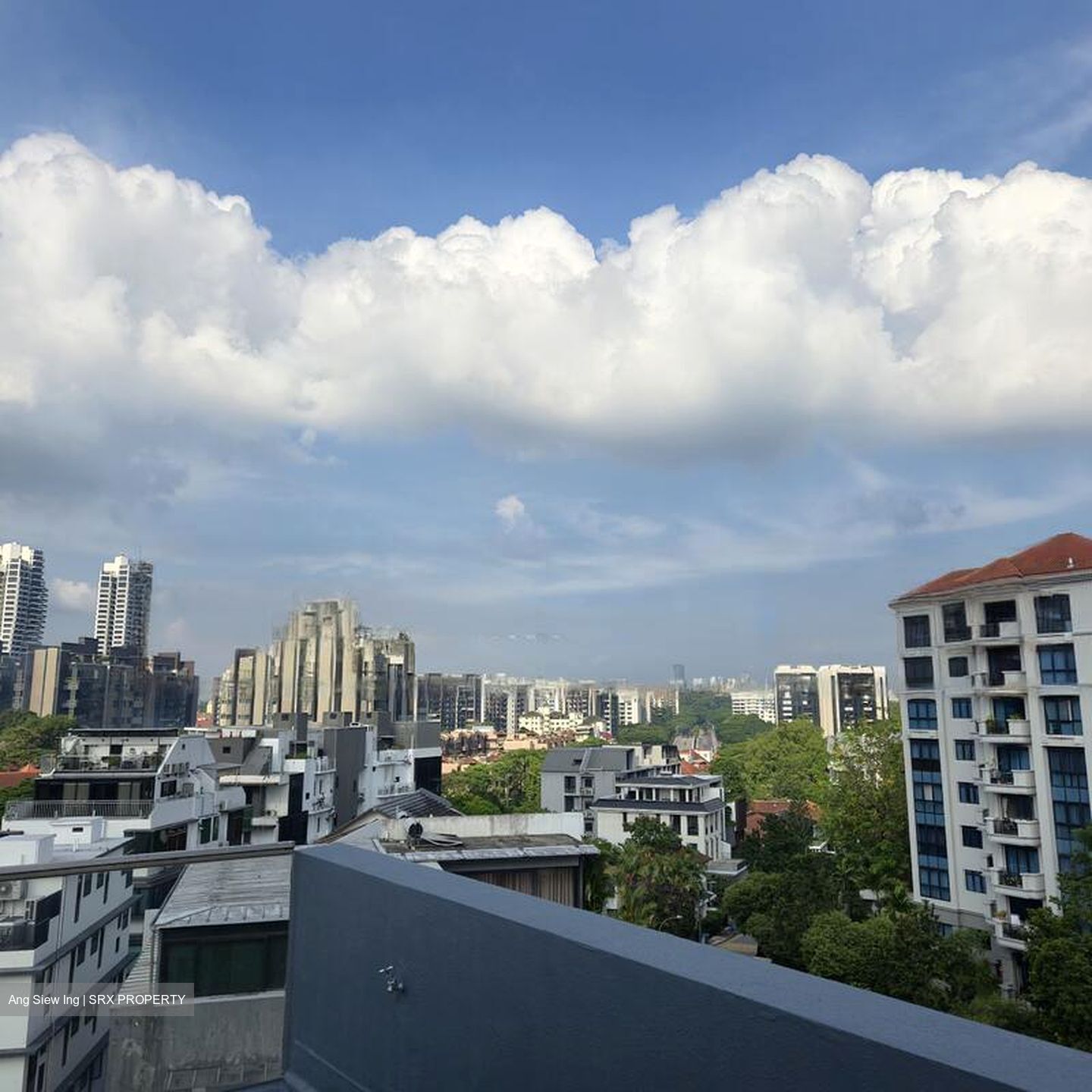 Loft @ Holland (D10), Apartment #468922331